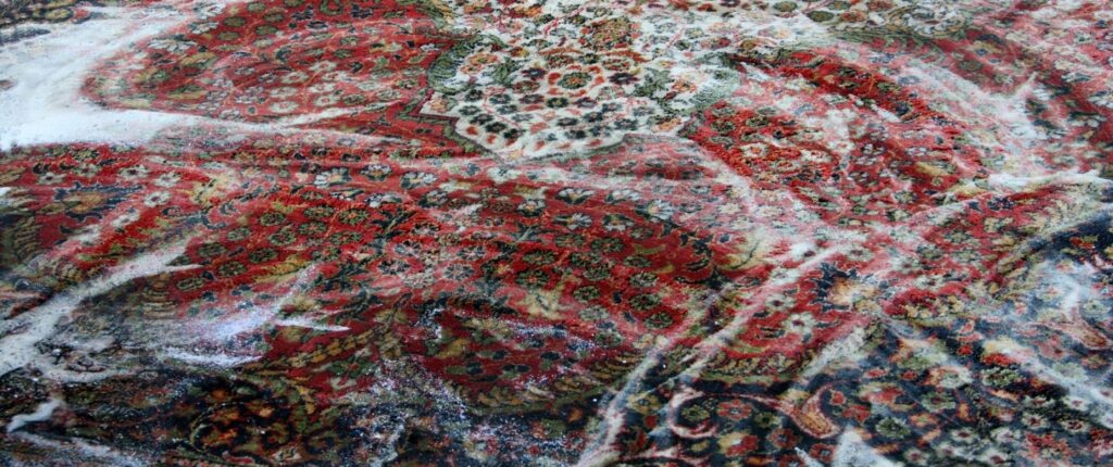 An Oriental rug covered in soap foam during a thorough cleaning process.