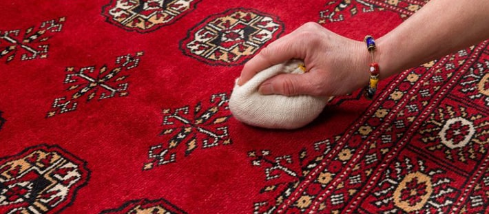 Hand pressing a cloth against a red Oriental rug for spot cleaning.